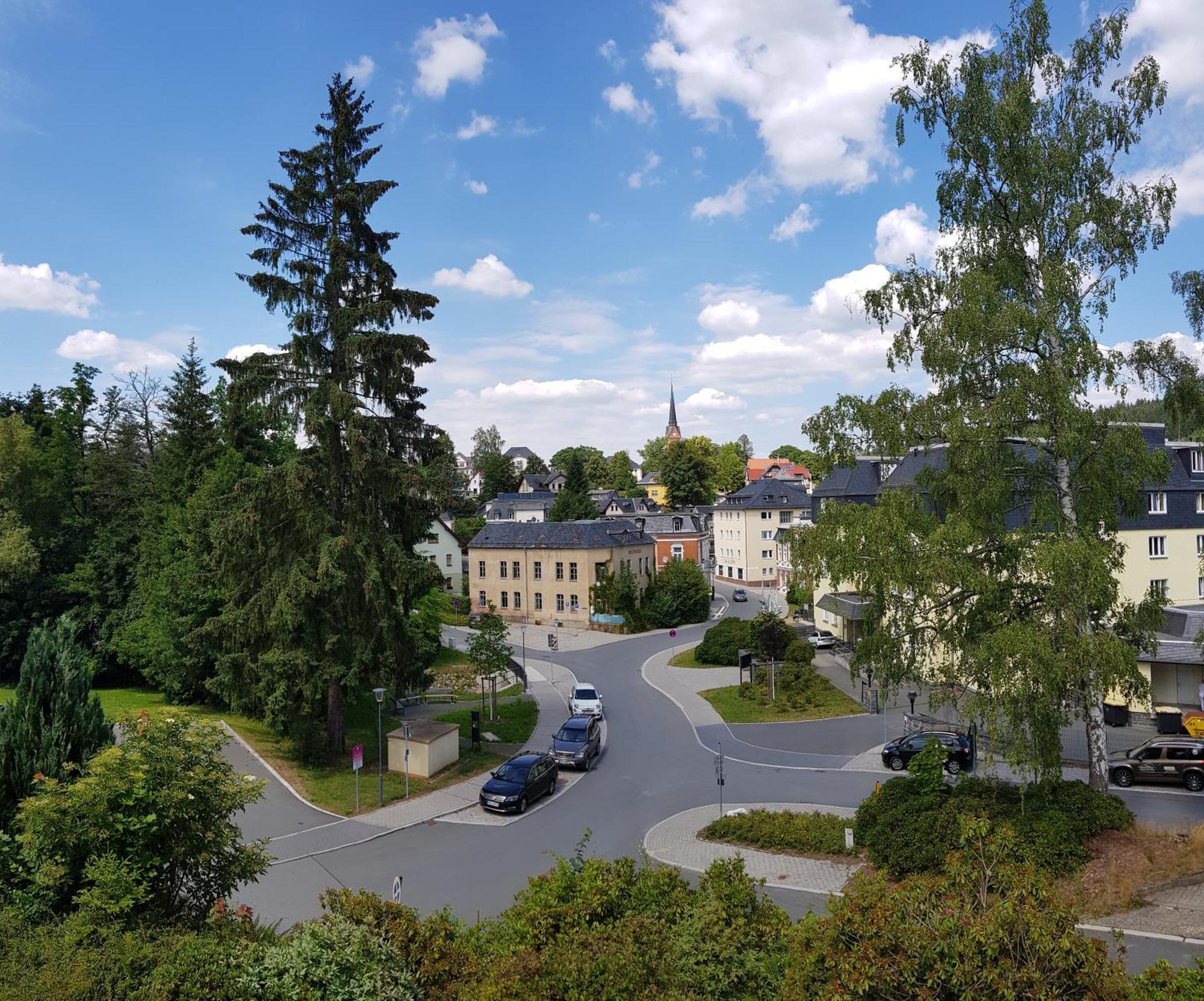 Ferienwohnungen Villa Goldbrunnen Bad Elster Ngoại thất bức ảnh