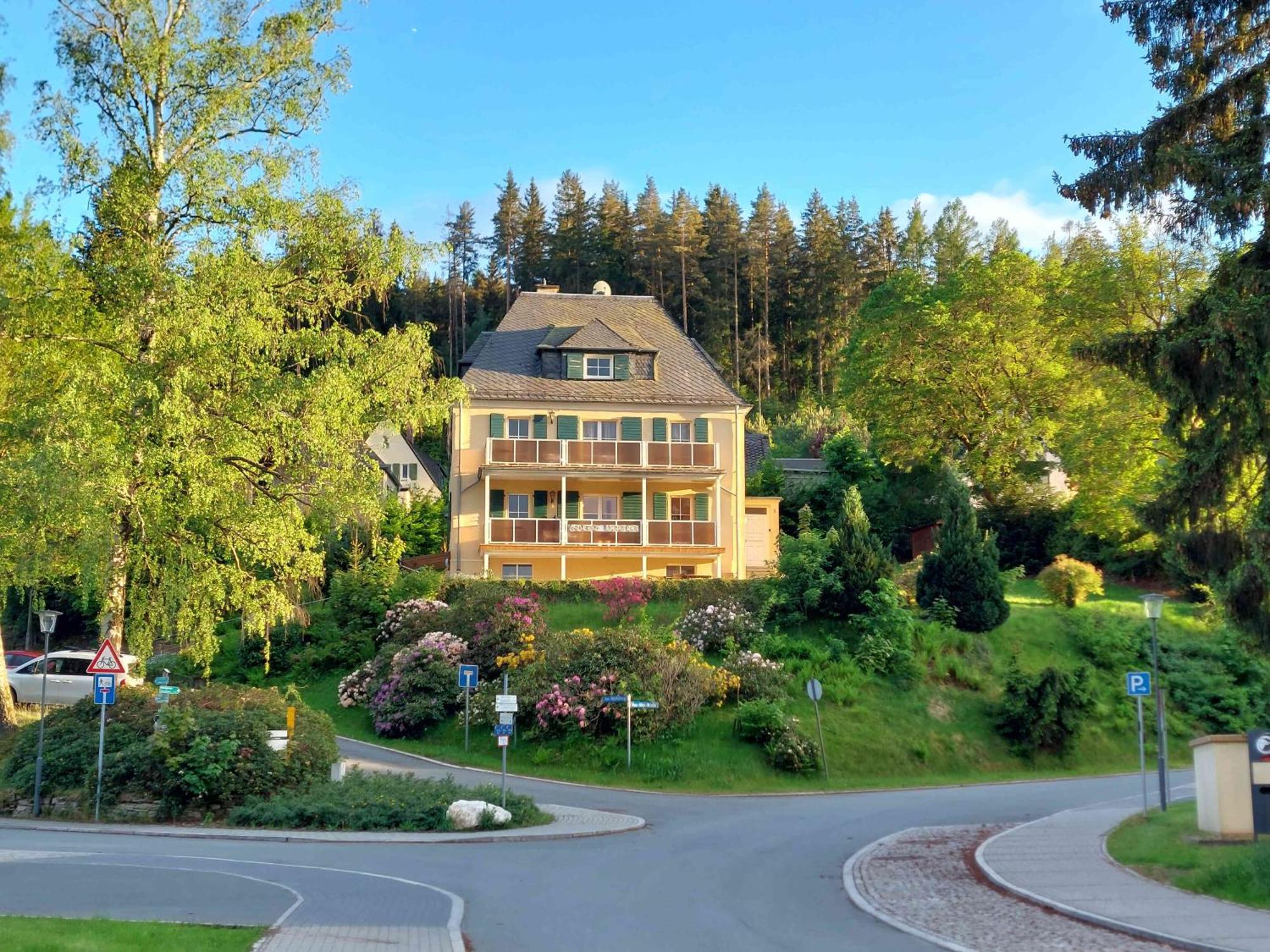 Ferienwohnungen Villa Goldbrunnen Bad Elster Ngoại thất bức ảnh
